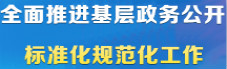 全面推進基層政務公開標準化規范化